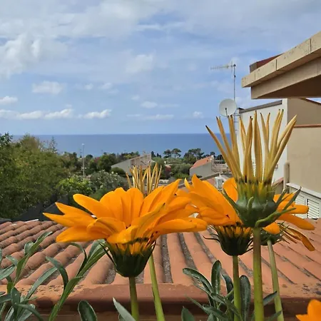 Aloe Di Calanica *