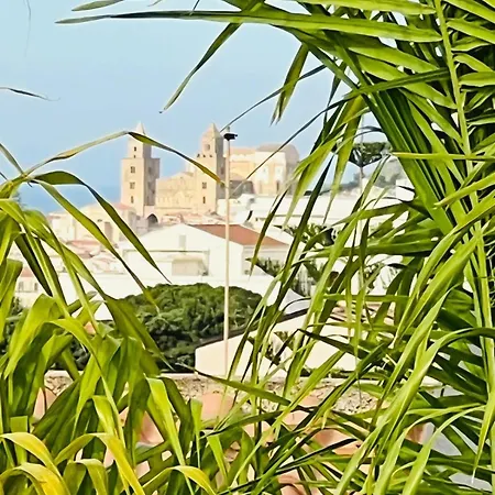 Aloe Di Calanica Cefalù